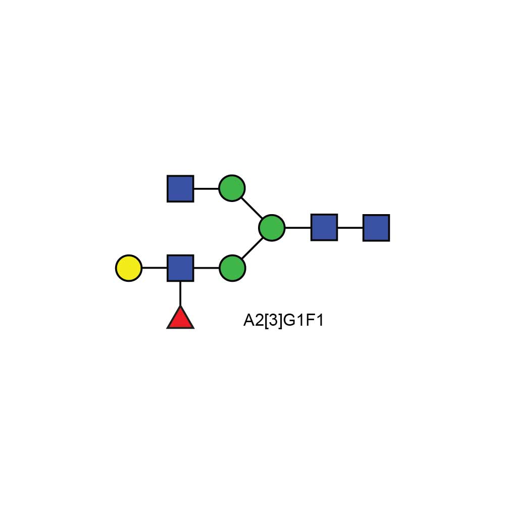 A2[3]G1F1(A-1-3) glycan; Asymmetric Lewis X containing N-glycan